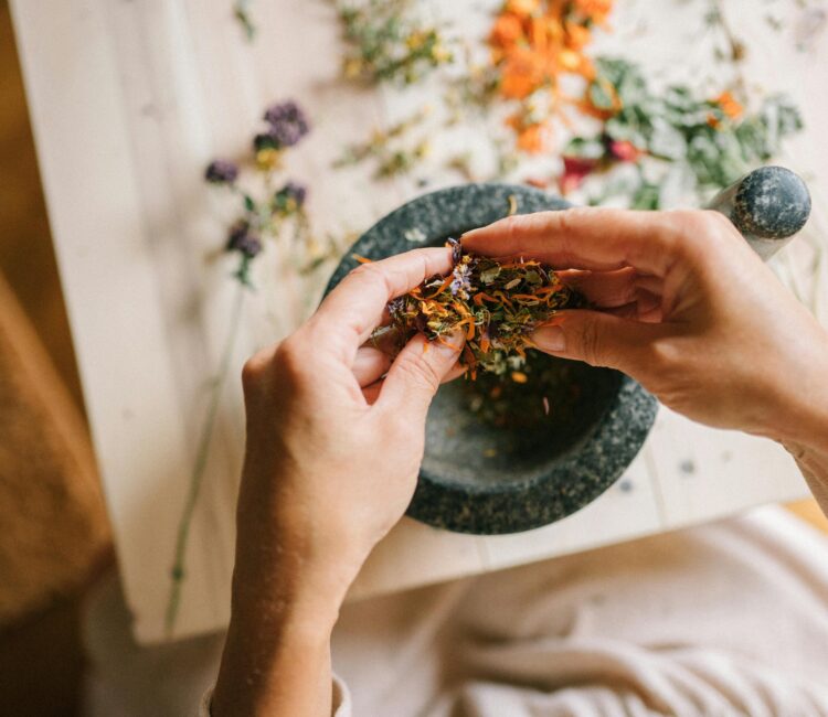 Hands preparing dried medicinal herbs in a mortar for herbal remedies